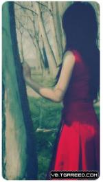 ������ ������� ������ �����